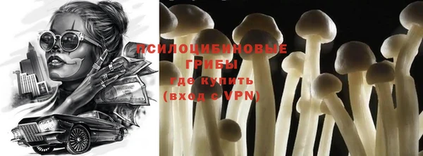 шишки Киренск