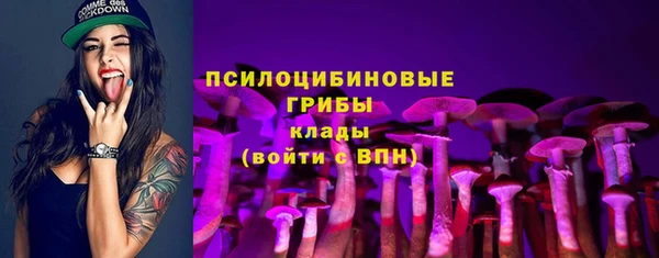 шишки Киренск