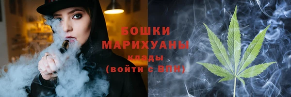 шишки Киренск