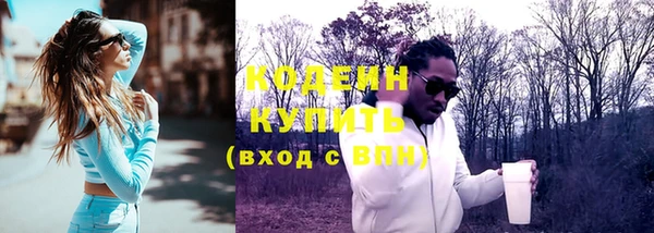 шишки Киренск