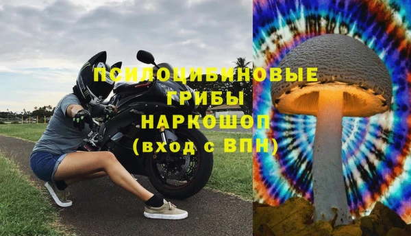 шишки Киренск