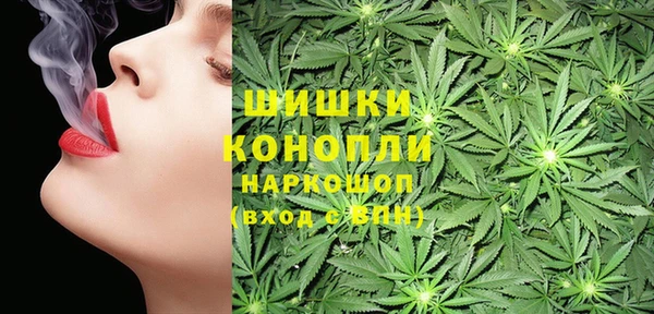 шишки Киренск