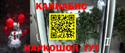 шишки Волжский