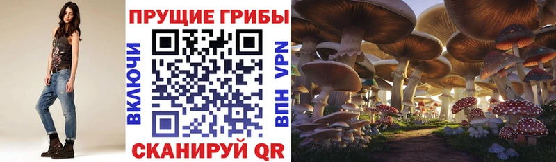 Псилоцибиновые грибы прущие грибы  наркотики  Таганрог 