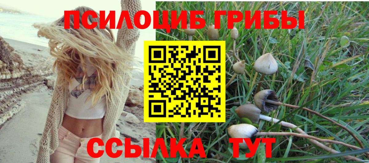 Галлюциногенные грибы ЛСД Таганрог